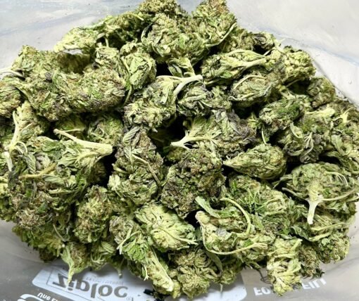 Budget $67 Oz -Cluster Funk